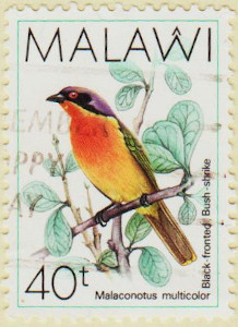 Malawi-798-AW149
