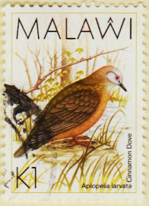 Malawi-801-AW149