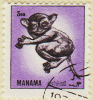 Manama-Animals-1-AW153