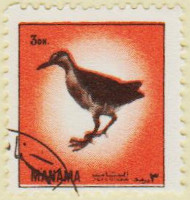 Manama-Birds-1-AW153
