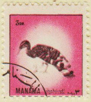 Manama-Birds-2-AW153