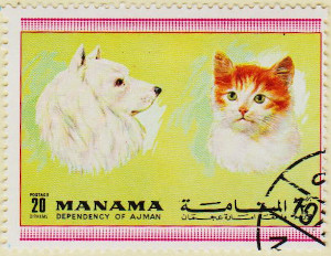 Manama-Dogs-Cats-20dh-AW154