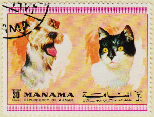 Manama-Dogs-Cats-30dh-AW154