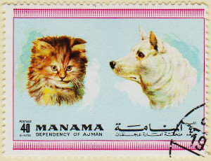 Manama-Dogs-Cats-40dh-AW154