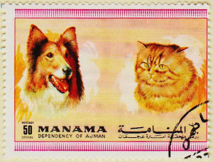 Manama-Dogs-Cats-50dh-AW154