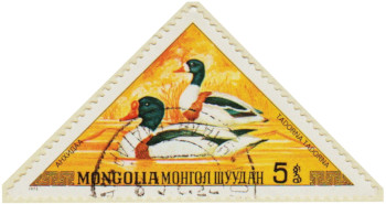 Mongolia-765-AN45.1