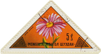 Mongolia-790-AN45.1