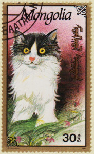 Mongolia-2278-AN93.1