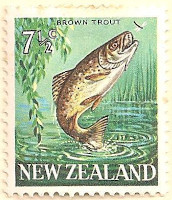 New-Zealand-871-AN65