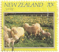 New-Zealand-1269-AN65