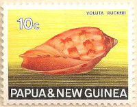Papua-New-Guinea-142-AN86