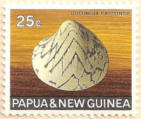 Papua-New-Guinea-146-AN86
