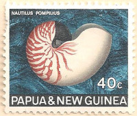 Papua-New-Guinea-148-AN86