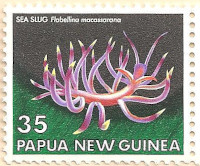 Papua-New-Guinea-352-AN87