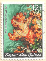 Papua-New-Guinea-442-AN85