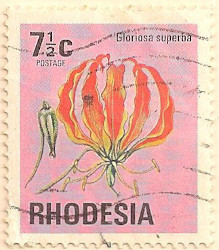 Rhodesia-495-AN131