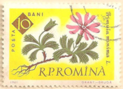 Rumania-2866-AN138