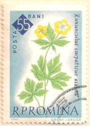 Rumania-2871-AN138