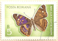 Rumania-3649-AN138