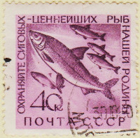 Russia-2351a-AO99.1