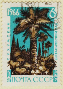 Russia-3311-AS105