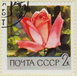 Russia-3686-A41