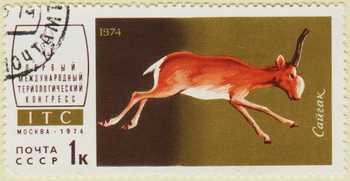 Russia-4281-AS101