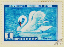 Russia-2063d-AS18