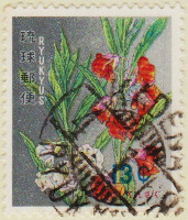 Ryukyu-Is-134-AM17.2