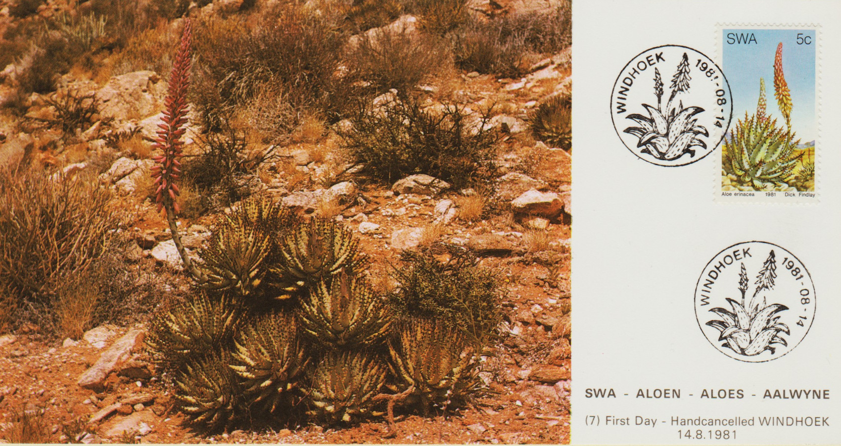 SWA-Post-Card-1981.6-ZX19