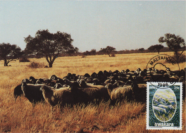 SWA-Postcard-No.-40-1986-U41