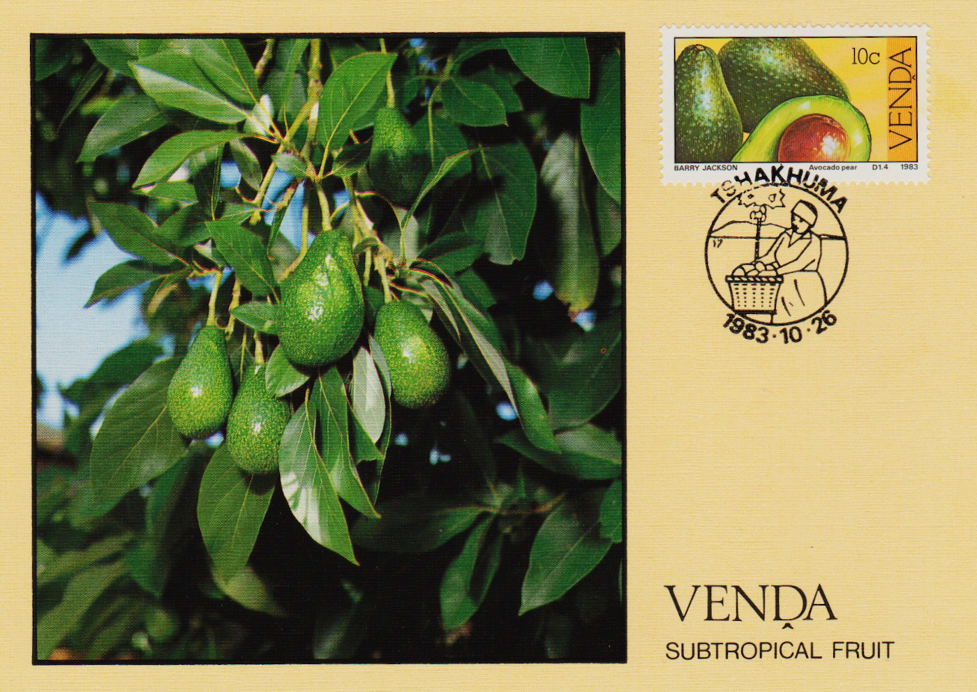 Venda-PC-1983.1-ZX54
