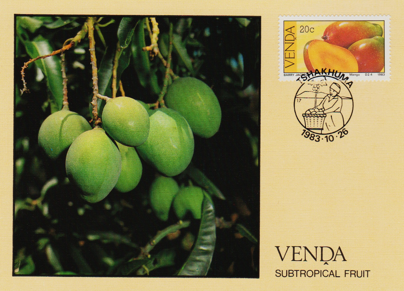Venda-PC-1983.2-ZX54