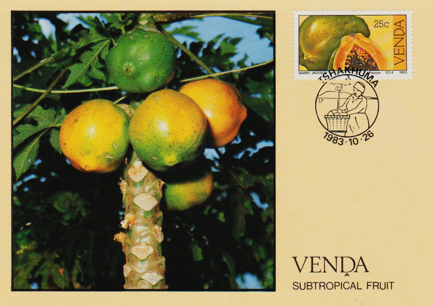 Venda-PC-1983.3-ZX54