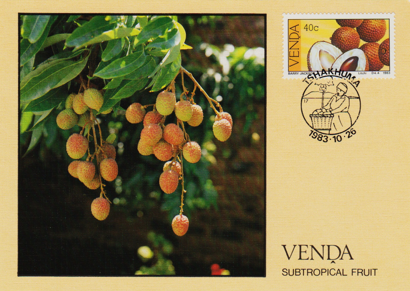 Venda-PC-1983.4-ZX55